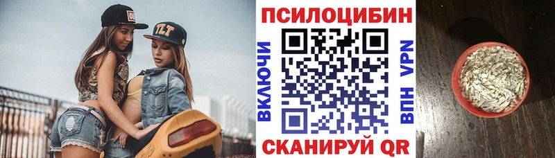 Галлюциногенные грибы Magic Shrooms  купить закладку  Вытегра 